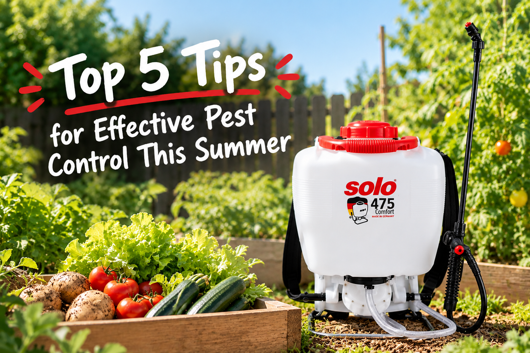 Top 5 Tips for Effective Pest Control This Summer