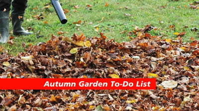 Autumn Garden To-Do List