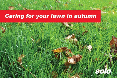 Caring for your lawn in autumn