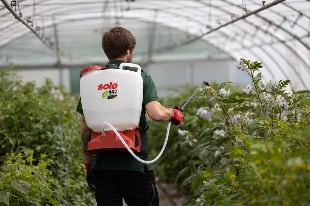 Early Spring Care of Trees and Shrubs - Solo New Zealand