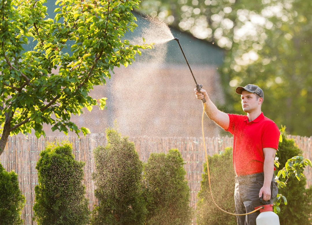 Maximising efficiency with Solo sprayers for Kiwi homeowners - Solo New Zealand