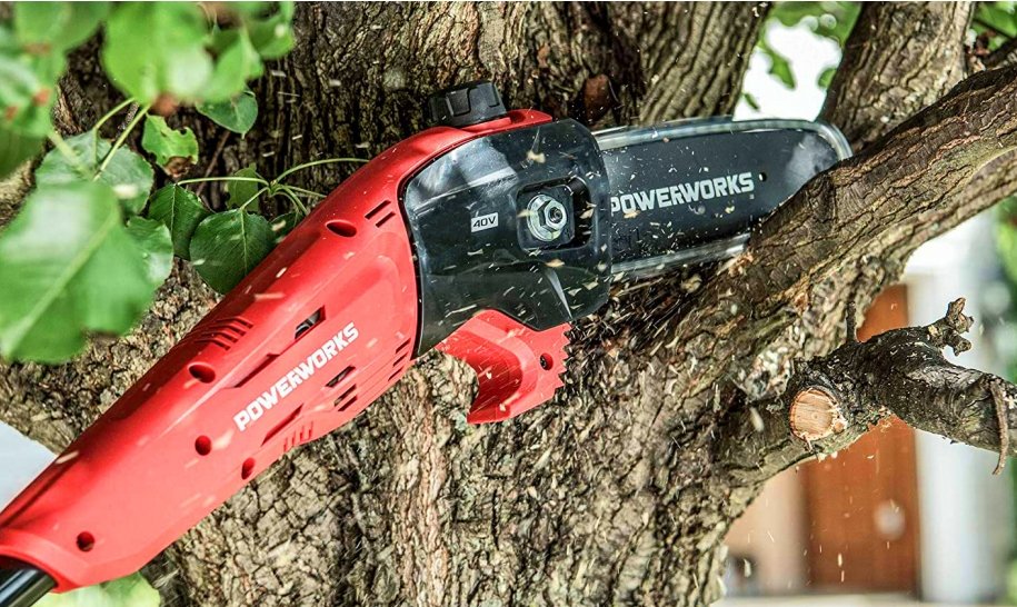 Why your trees need trimming - Solo New Zealand