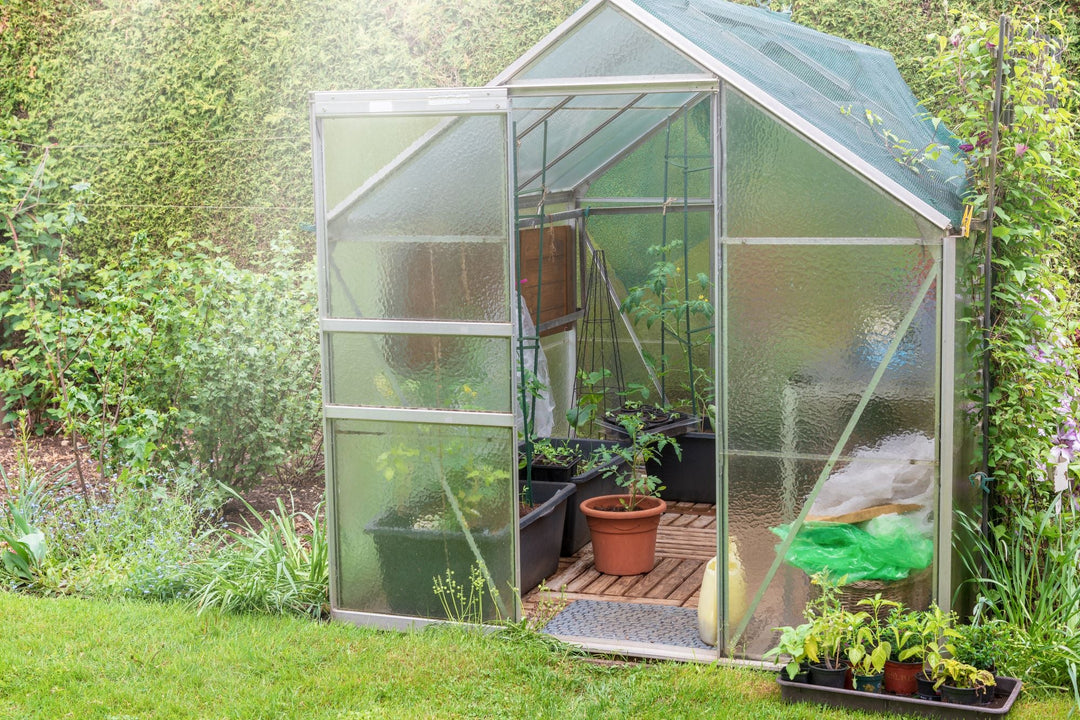 Winter yard maintenance tips for keen Kiwis - Solo New Zealand